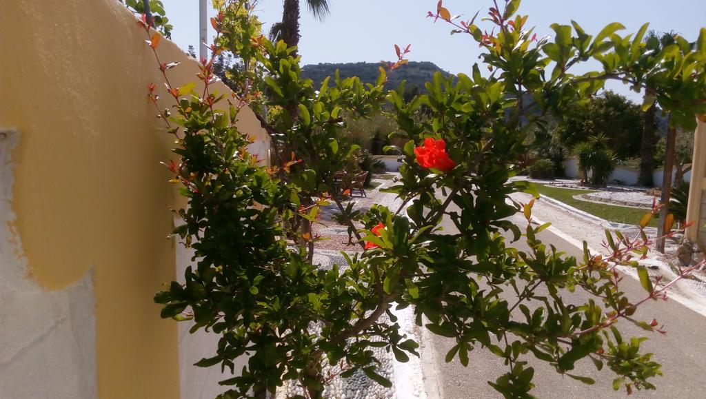 Mosaic Gardens Apartment Faliraki Ngoại thất bức ảnh
