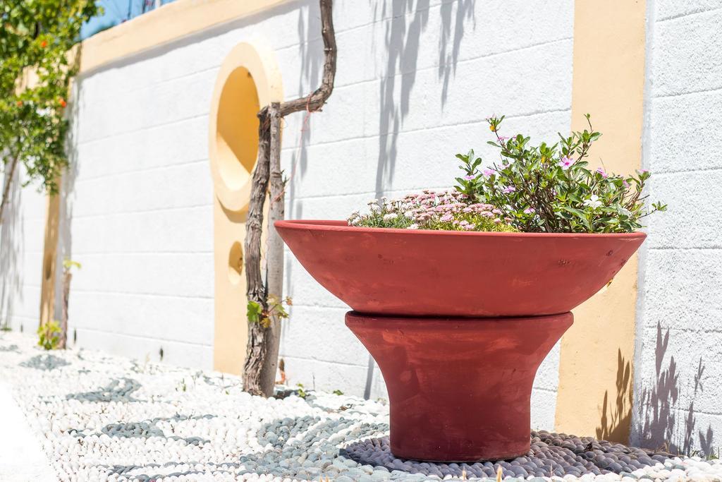 Mosaic Gardens Apartment Faliraki Ngoại thất bức ảnh
